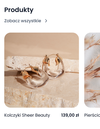Gotowy sklep internetowy - produkty